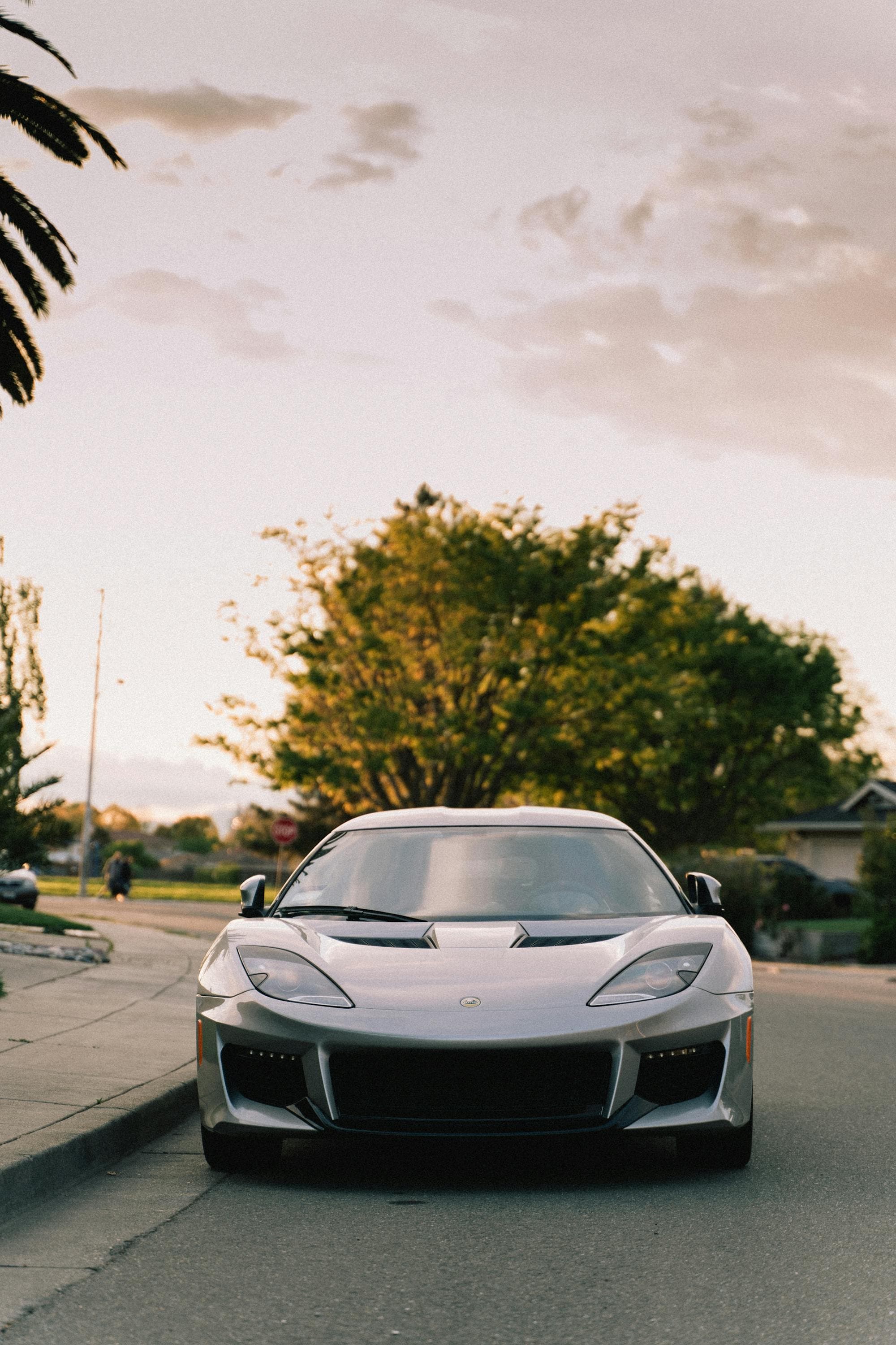 Lotus — brand imagery