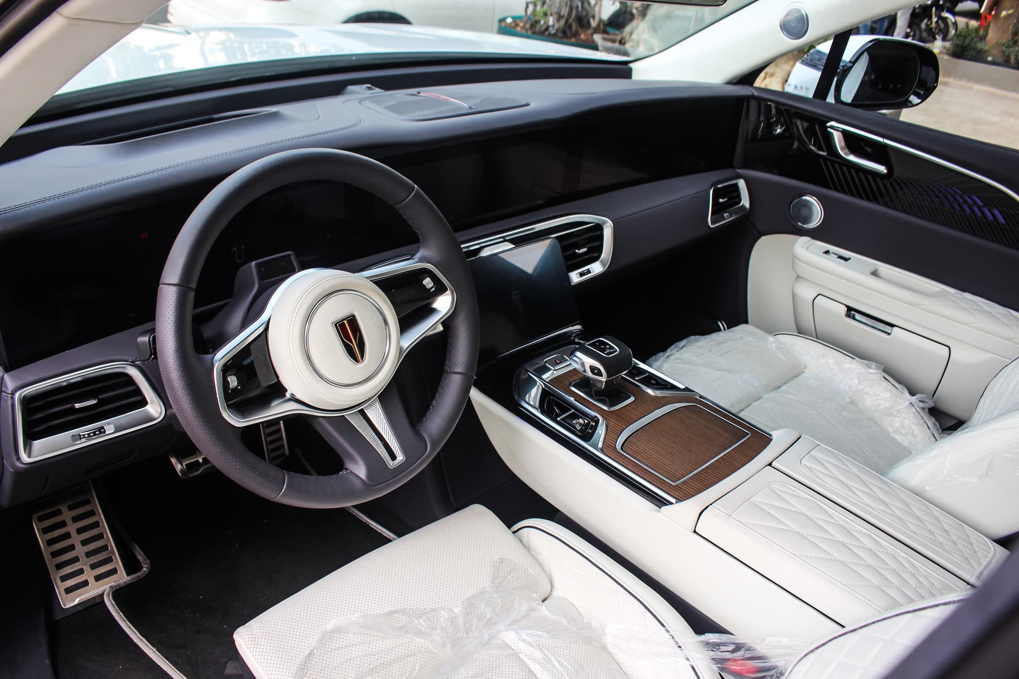Hongqi E-HS9