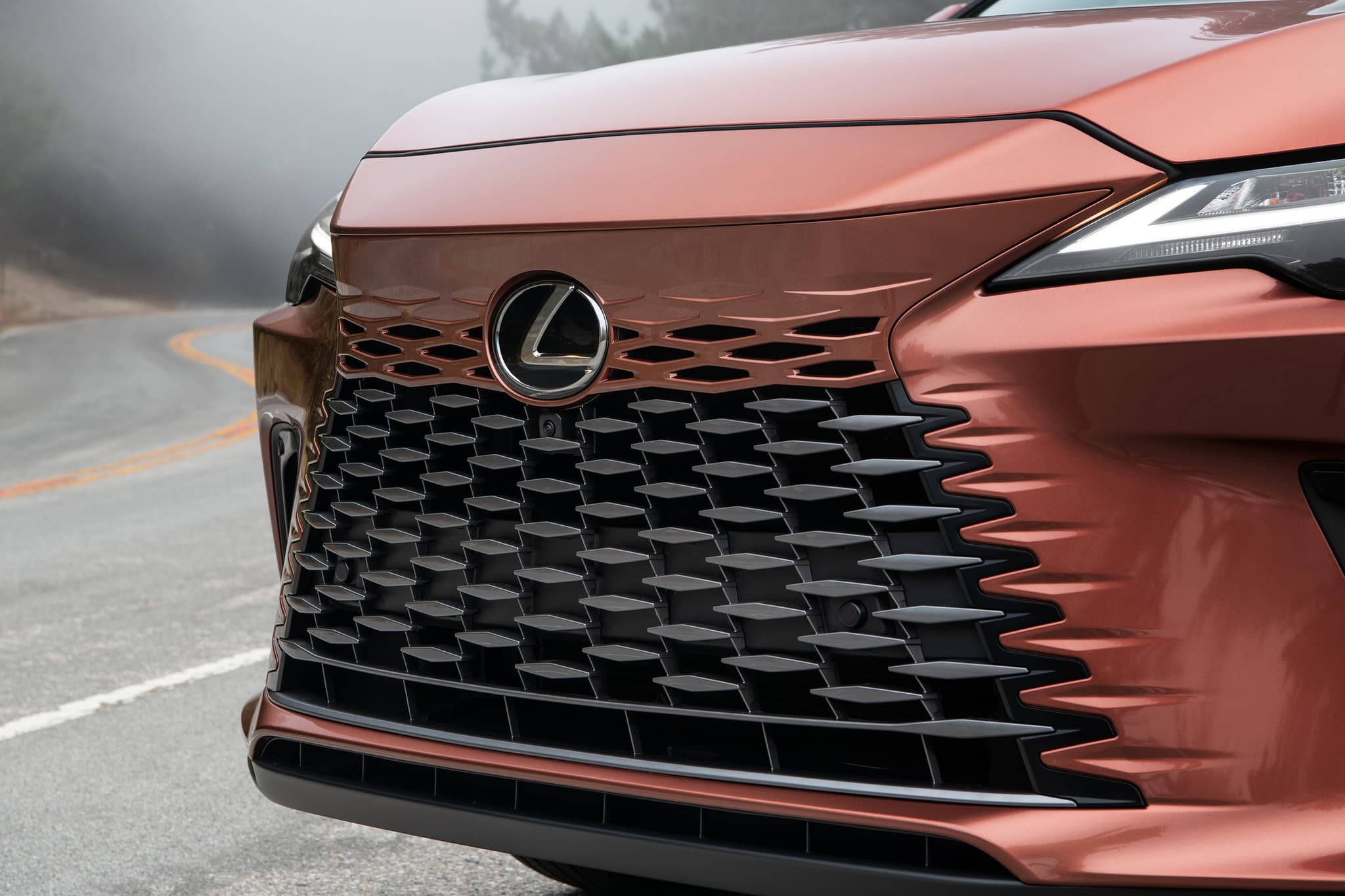 Lexus Rx