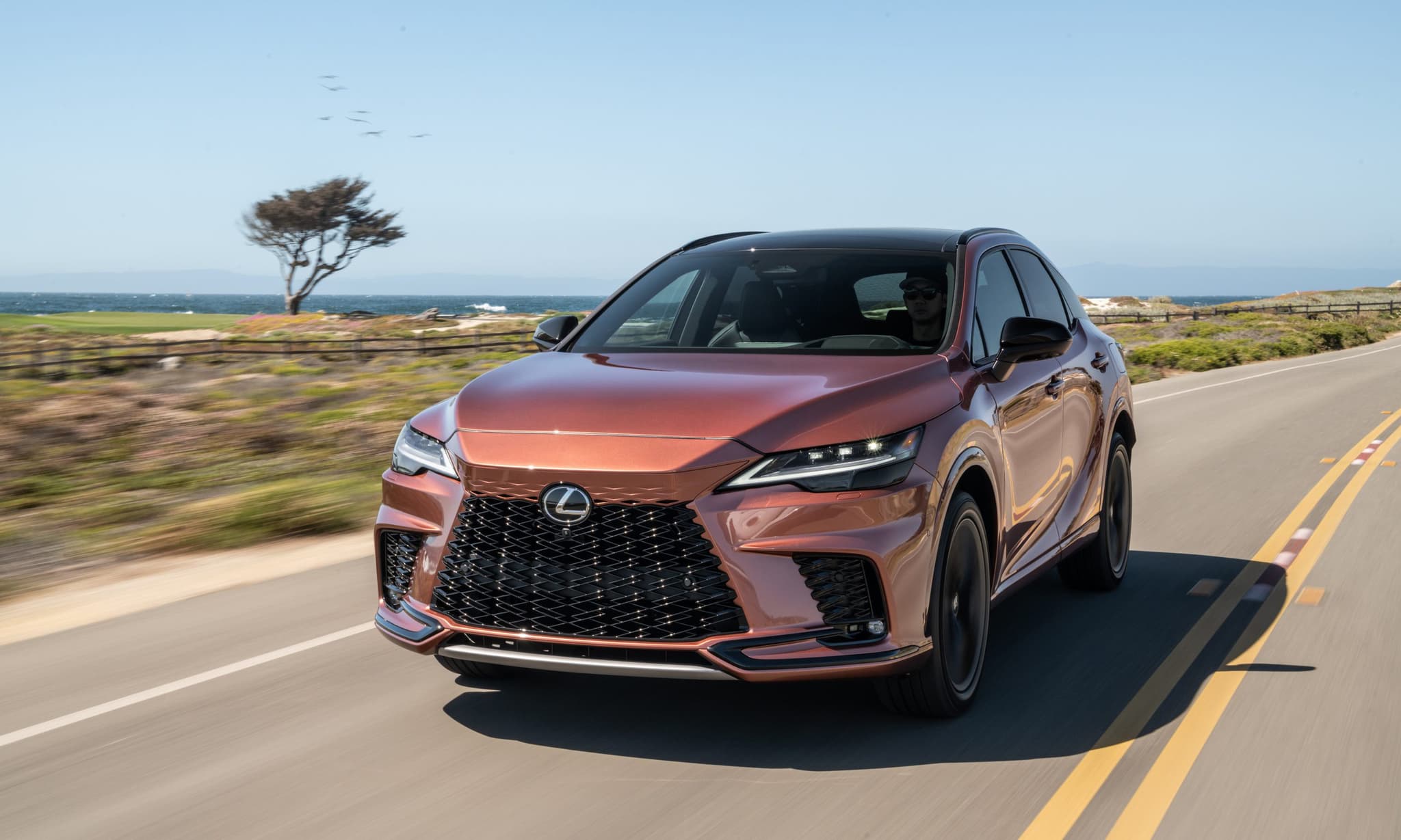 Lexus Rx 2023